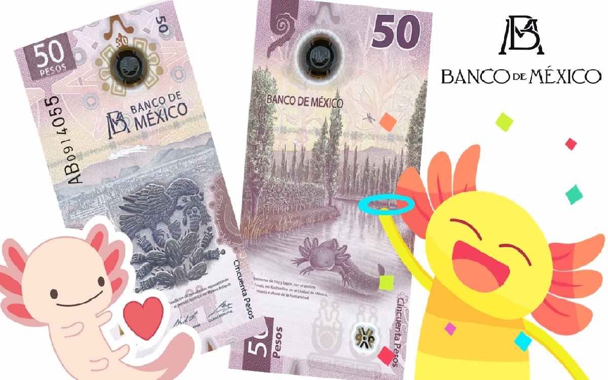 Señor ajolote: Billete de 50 pesos mexicanos es el más bonito del mundo