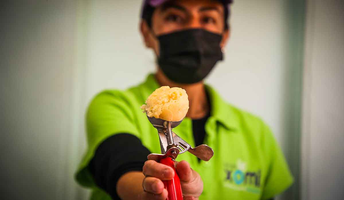 Te decimos dónde podrás comprarle un helado a tu mascota para disfrutarlo juntos y alivianarse del intenso calor de Toluca.