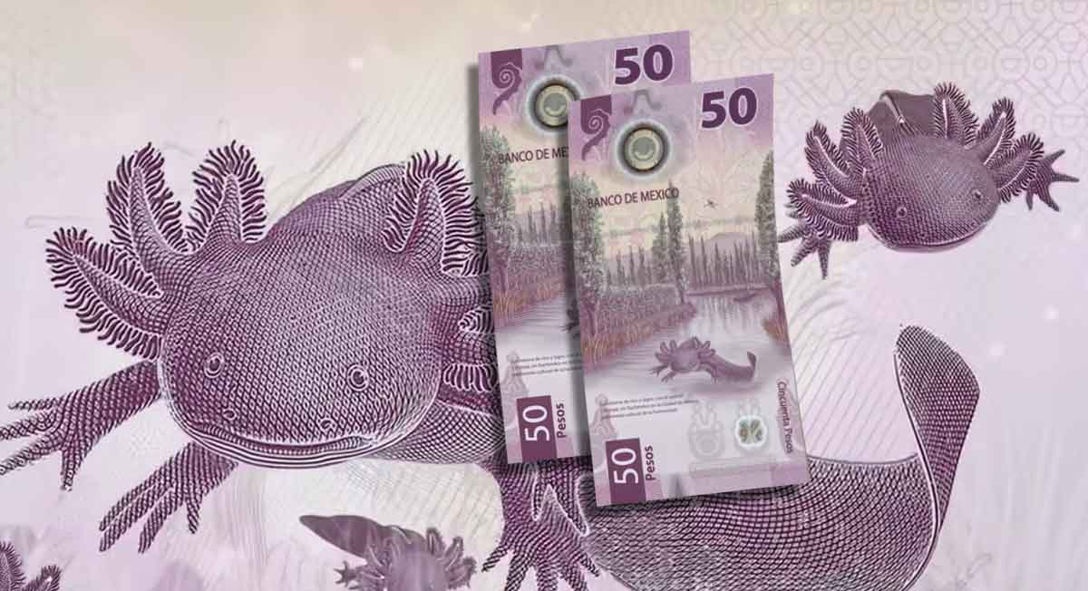 ¿Lo tienes? Billete $50 con ajolote se vende en medio millón, así­ lo puedes vender