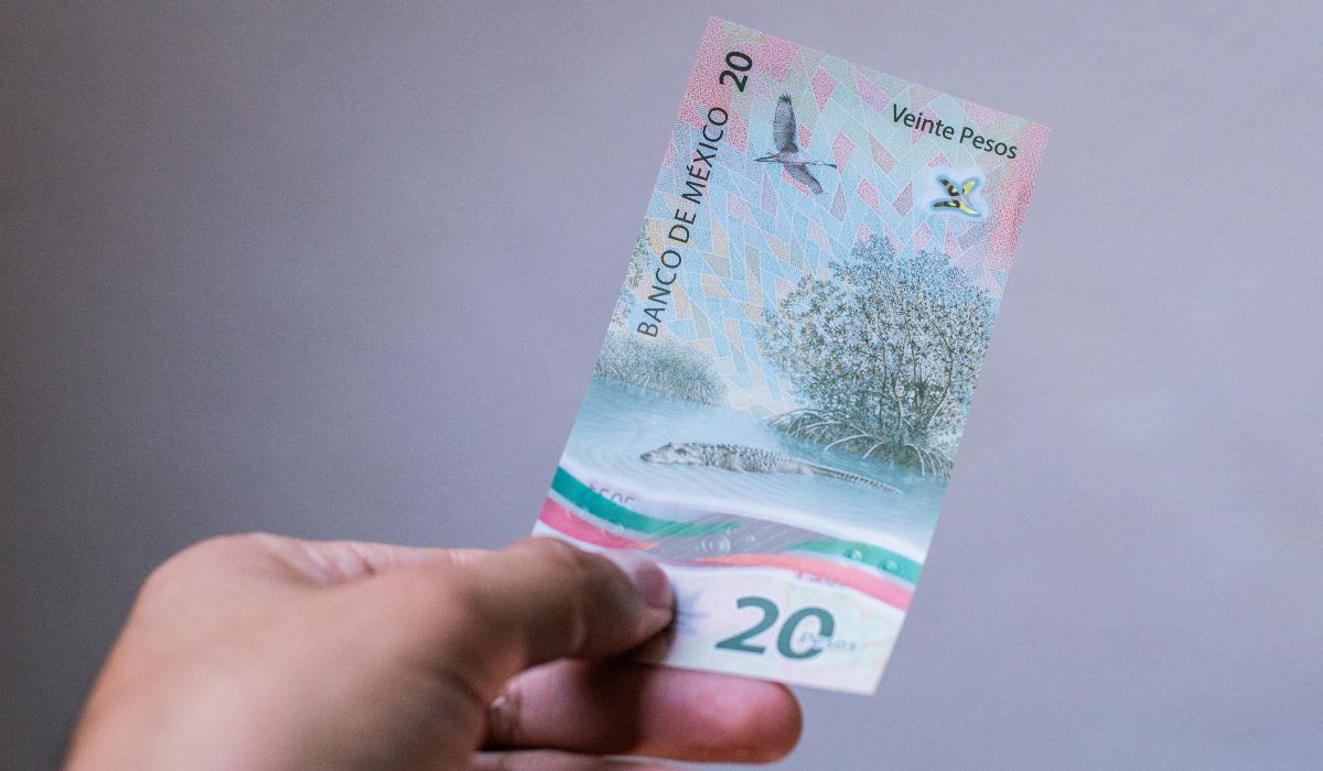 ¿Tienes este billete de $20 pesos?, piden $300 mil pesos por el