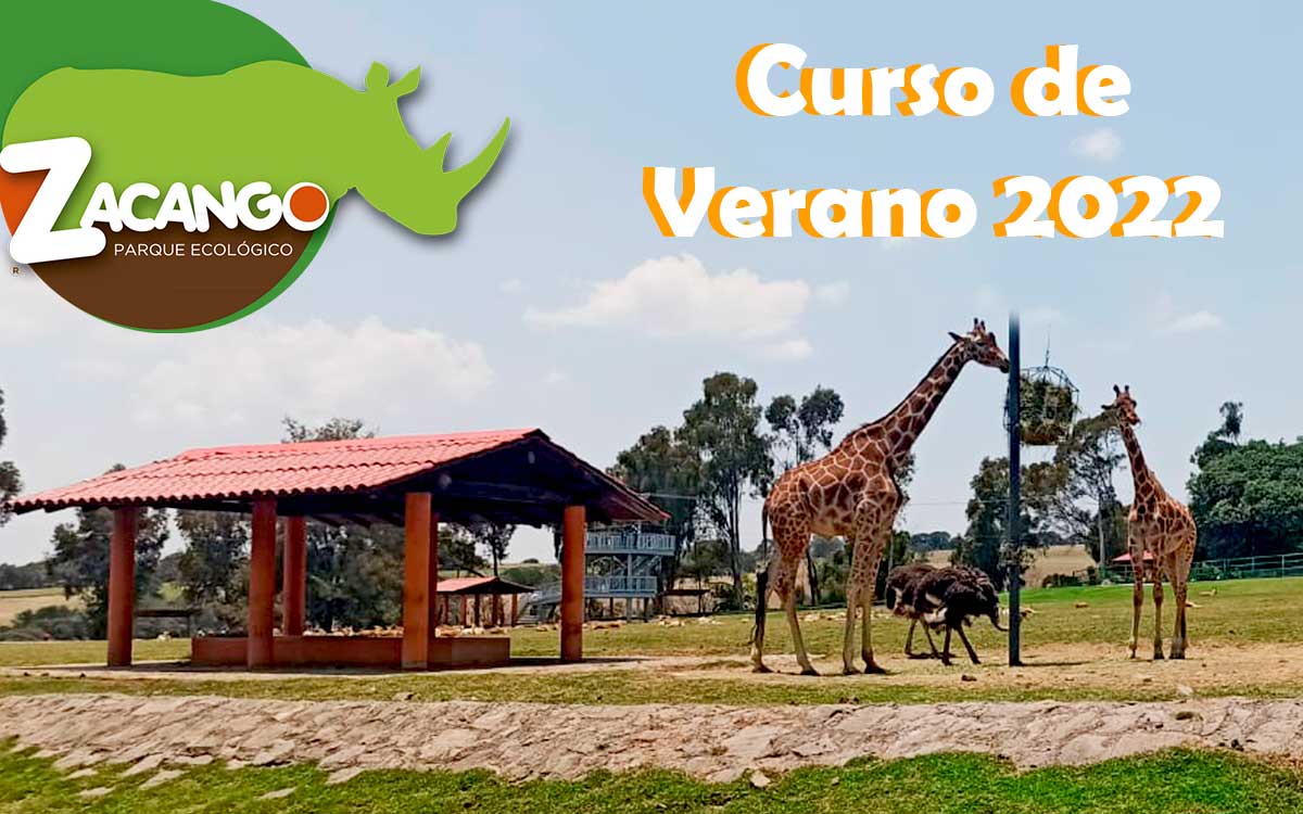 Curso de Verano 2022 en Zacango: Costo, fechas, requisitos y actividades