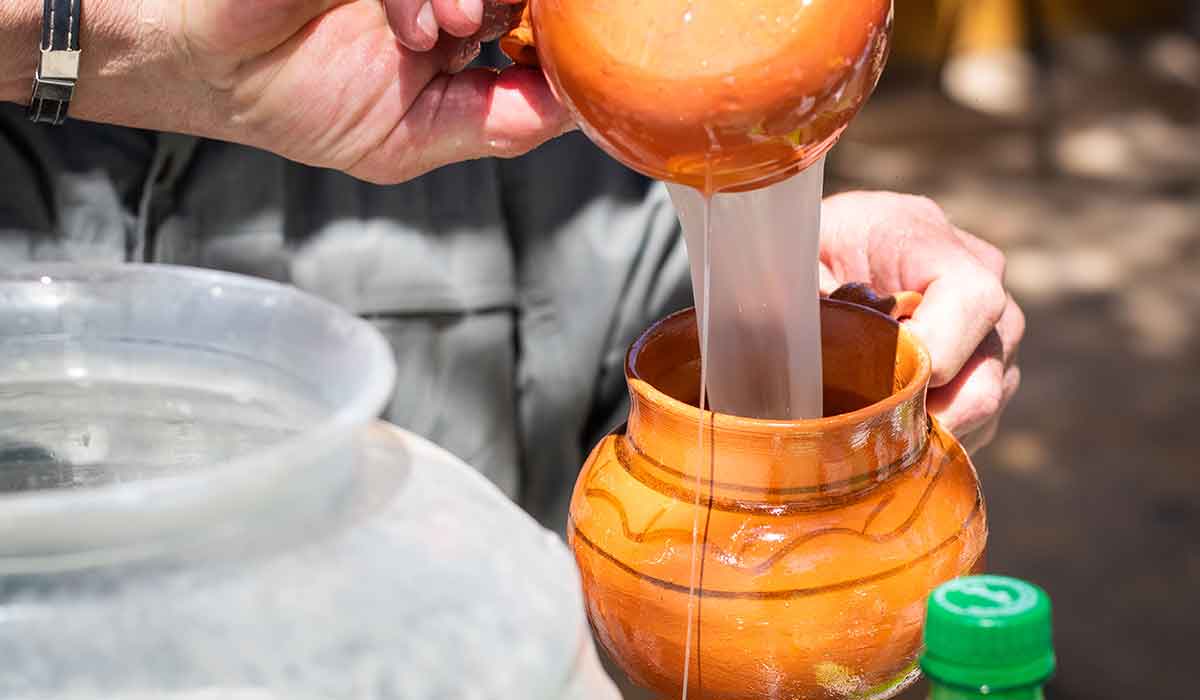 Festival del Pulque CDMX 2022 - Camping y globos aerostáticos