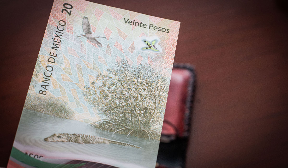 ¿Cuándo saldrá de circulación el billete de $20 pesos?