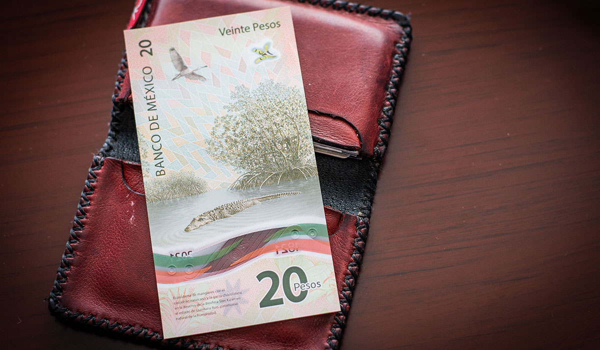 ¿Cuándo retirarán definitivamente el nuevo billete de 20 pesos?