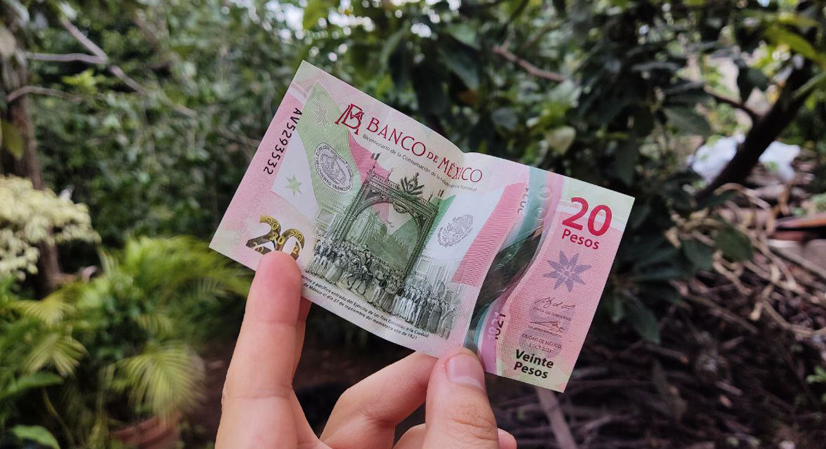 Billetes de 20 pesos y la inflación