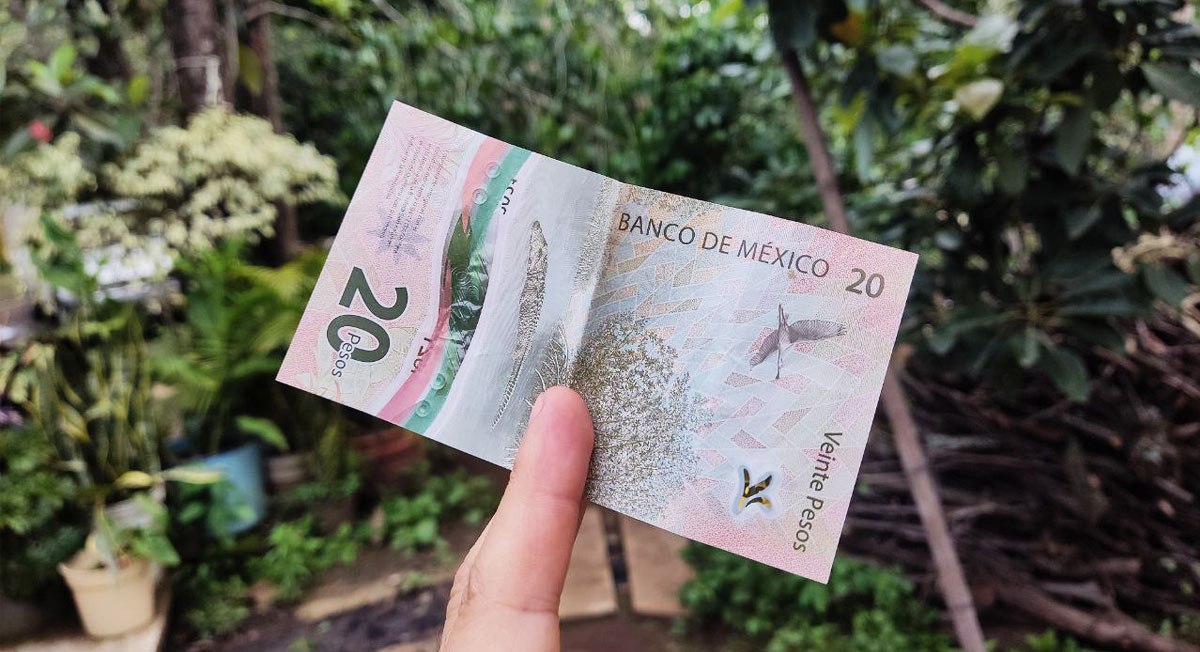 Billetes de 20 pesos y la inflación