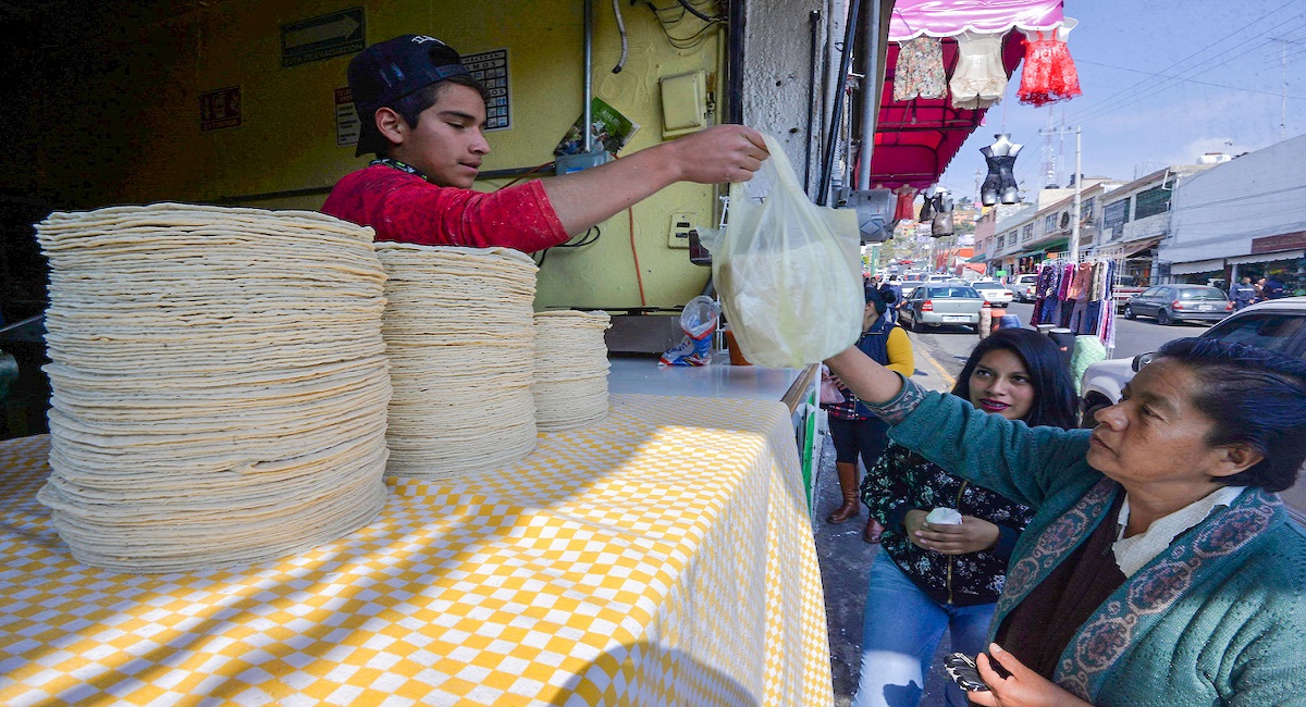 México mágico ya tiene sus tortillas de bajo presupuesto ¿Cómo puedo identificarlas?
