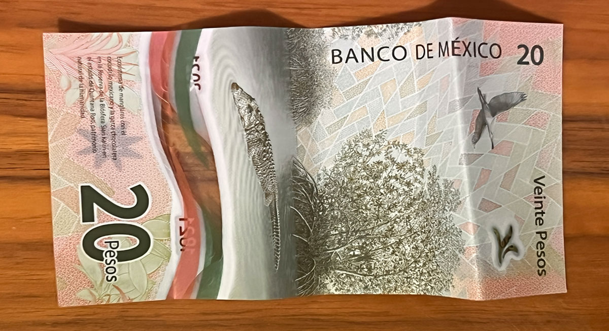 Con salida de billete de 20 pesos, identifica si es valioso para venderlo por más de $20,000