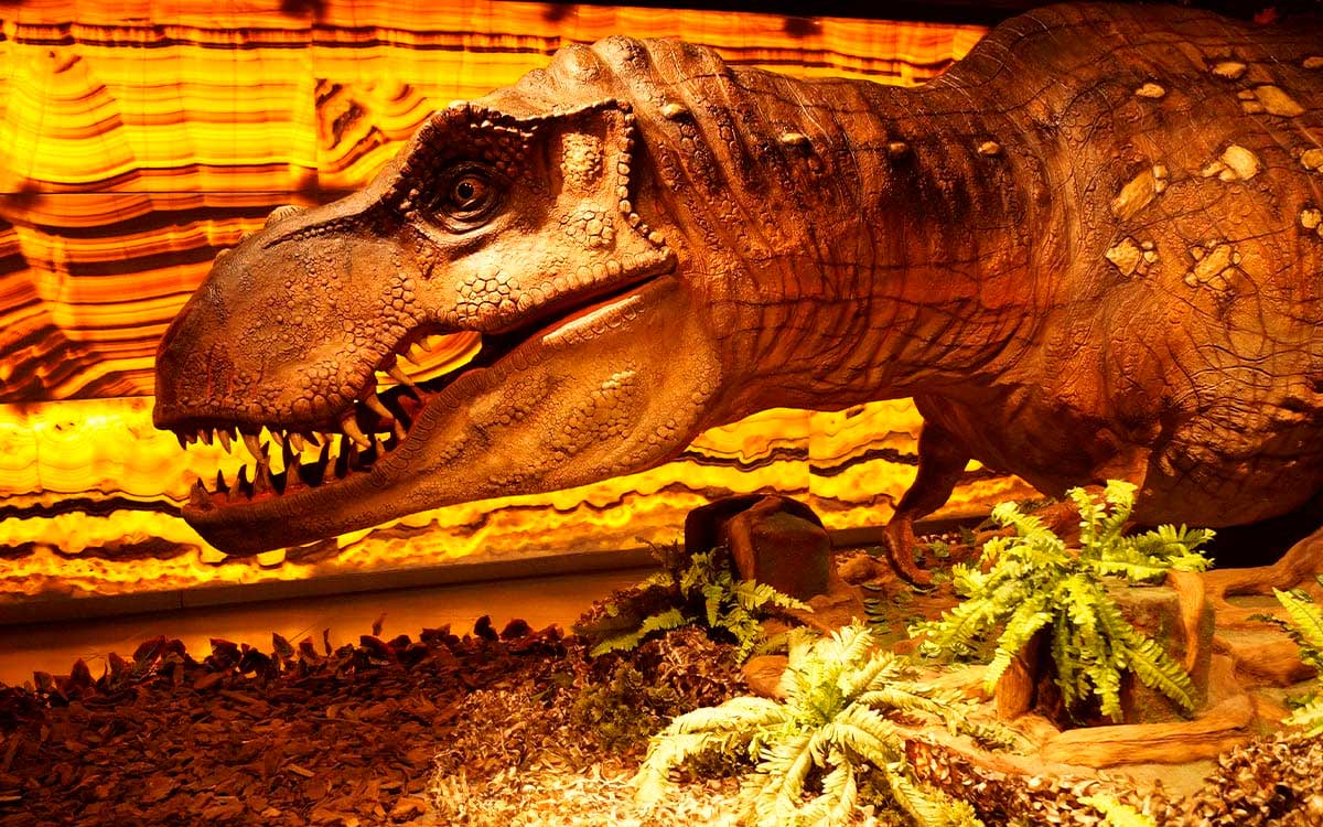 ¡Aprovecha los últimos días de la exposición de dinosaurios en Toluca!