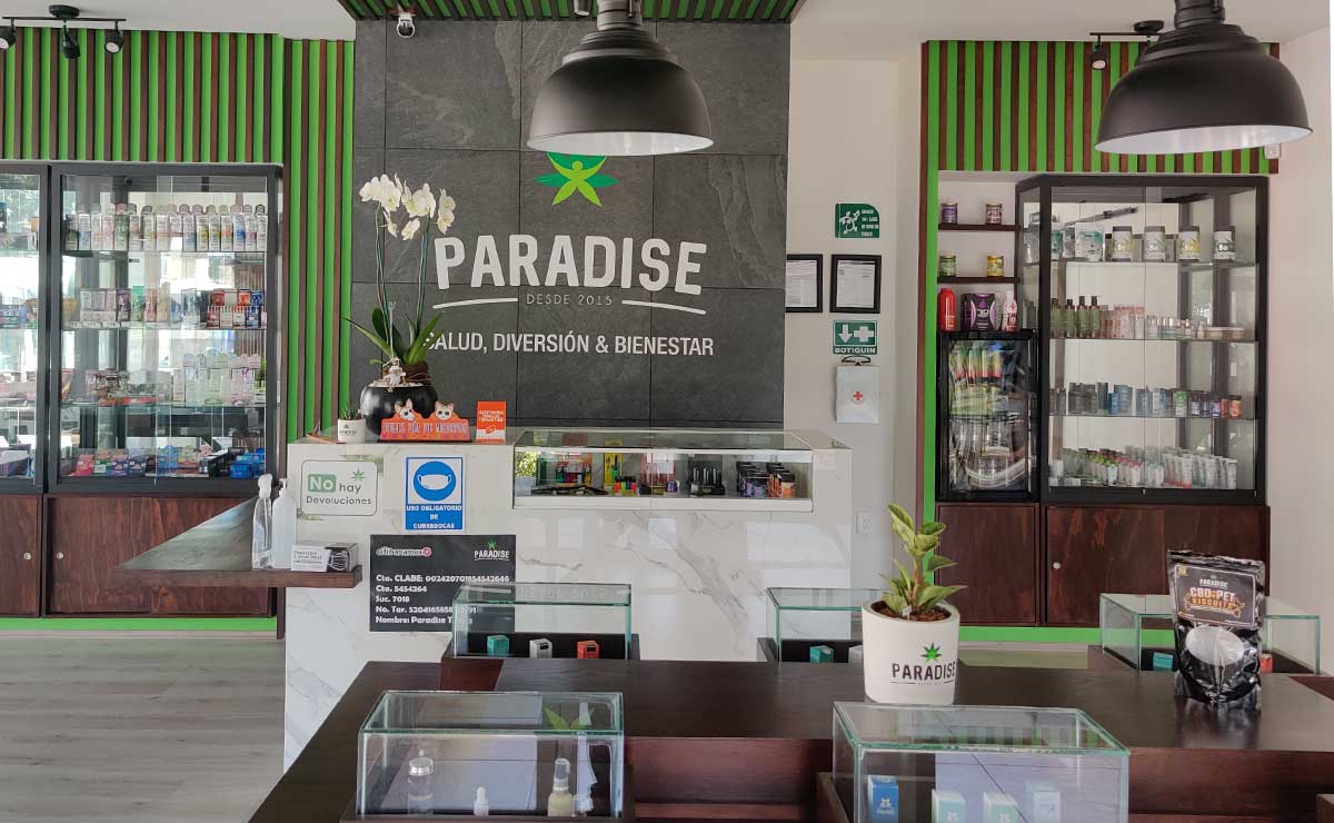 ¡Abren tienda de «María Juana o la verde» en Toluca! Conoce Paradise Shop de Foxe