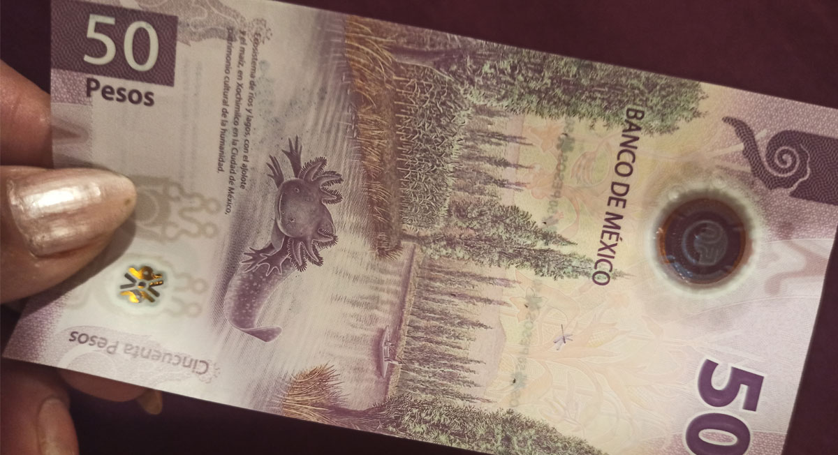Nuevos billetes de 50 pesos mexicanos