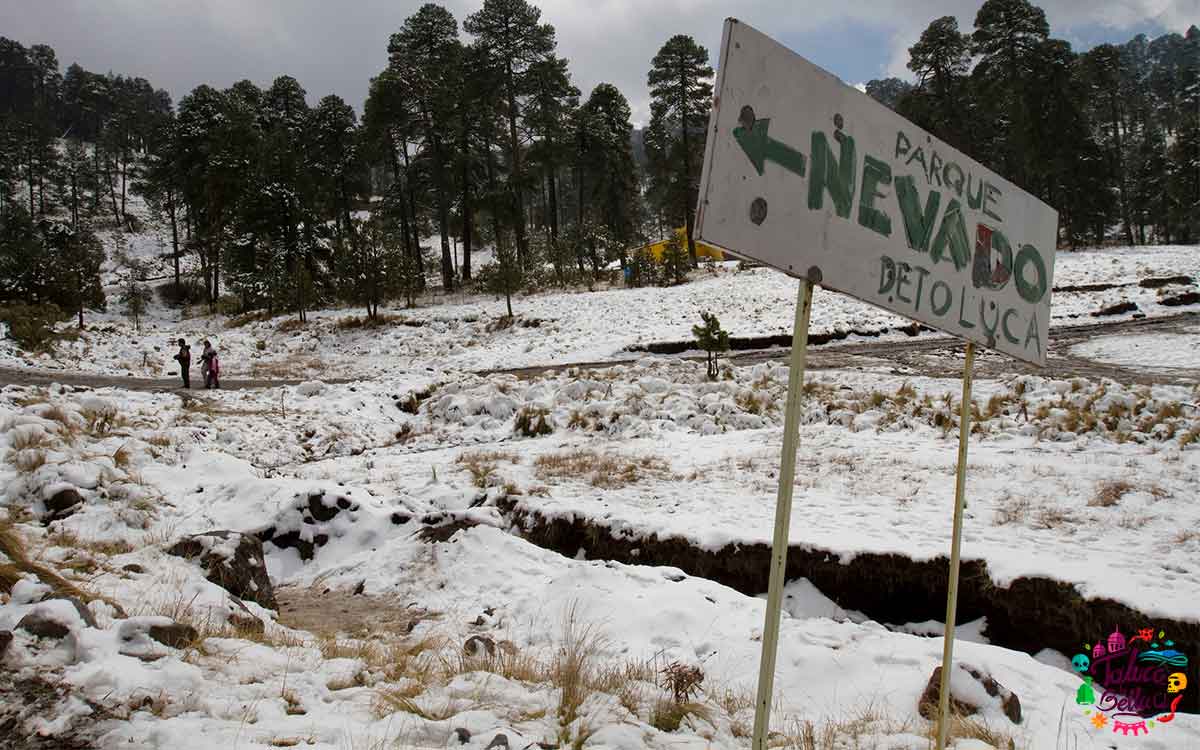 Recomendaciones oficiales para disfrutar tu vista al Nevado de Tolucae