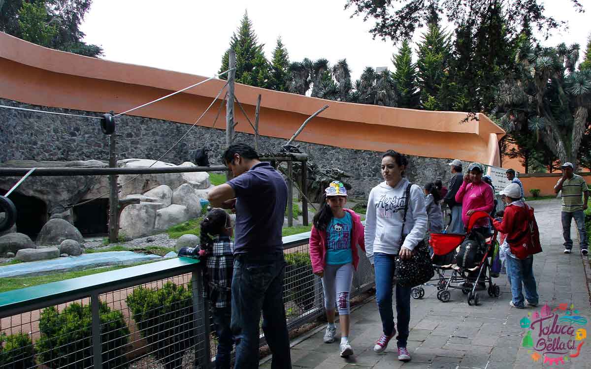 ¡No podrás visitar el Zoológico de Zacango en 2023!e
