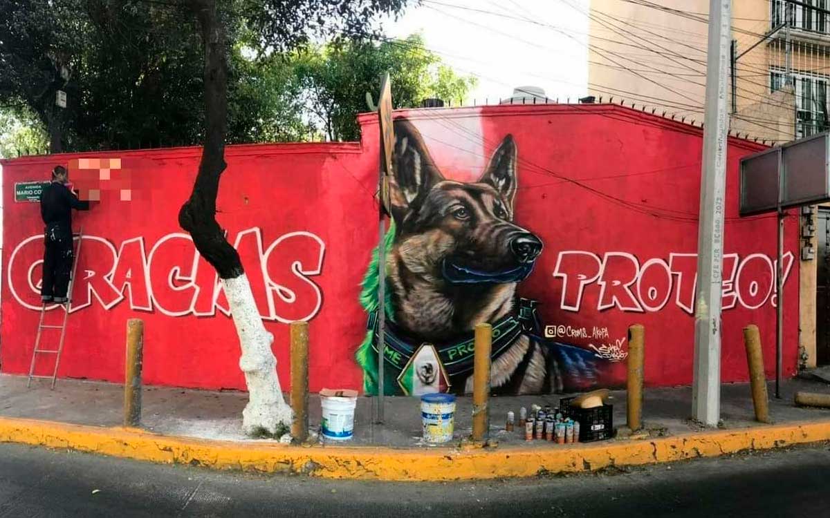 ¡No vayas a llorar! Crean mural de perrito rescatista "Proteo" en CDMX