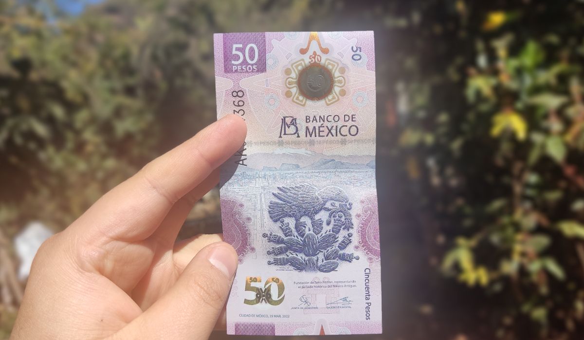 Billete del ajolote se vende en $90 mil pesos este 2023 por este extraño detalle