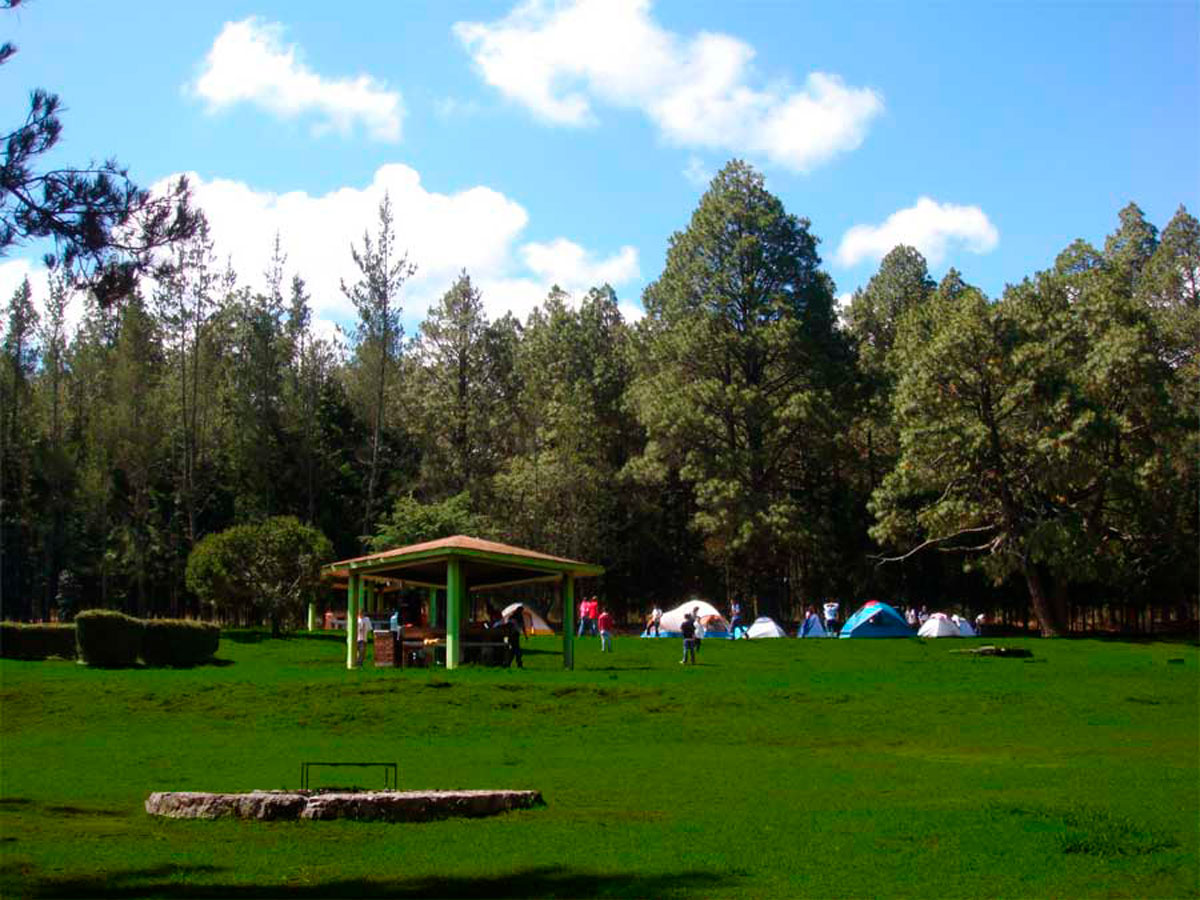 Celebra el Día del Padre en cabañas o acampando en Malintzi, EDOMEX con 30% de descuento