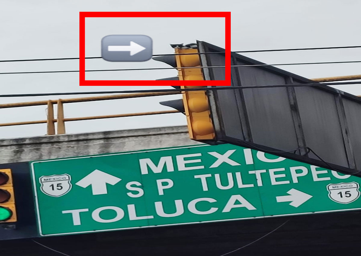 ¡No, el michi, no! Gatito queda atrapado en semáforo de la México-Toluca y así terminó