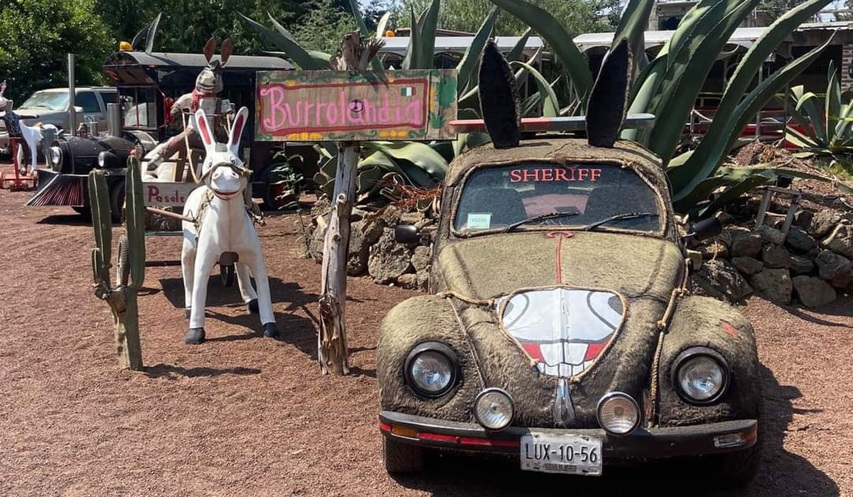 ¿Sin planes con la familia, amigos o tu pareja?, este fin de semana dale una oportunidad a Burrolandia, esencia del Pueblo Mágico de Otumba.