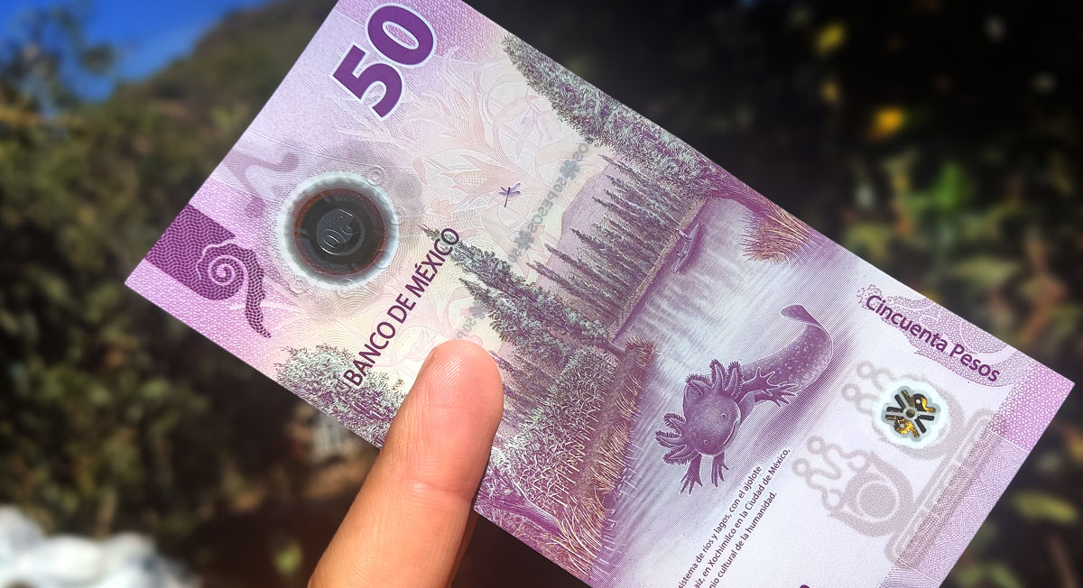 ¿Dónde puedo vender mi billete de 50 pesos del ajolote en 2023?