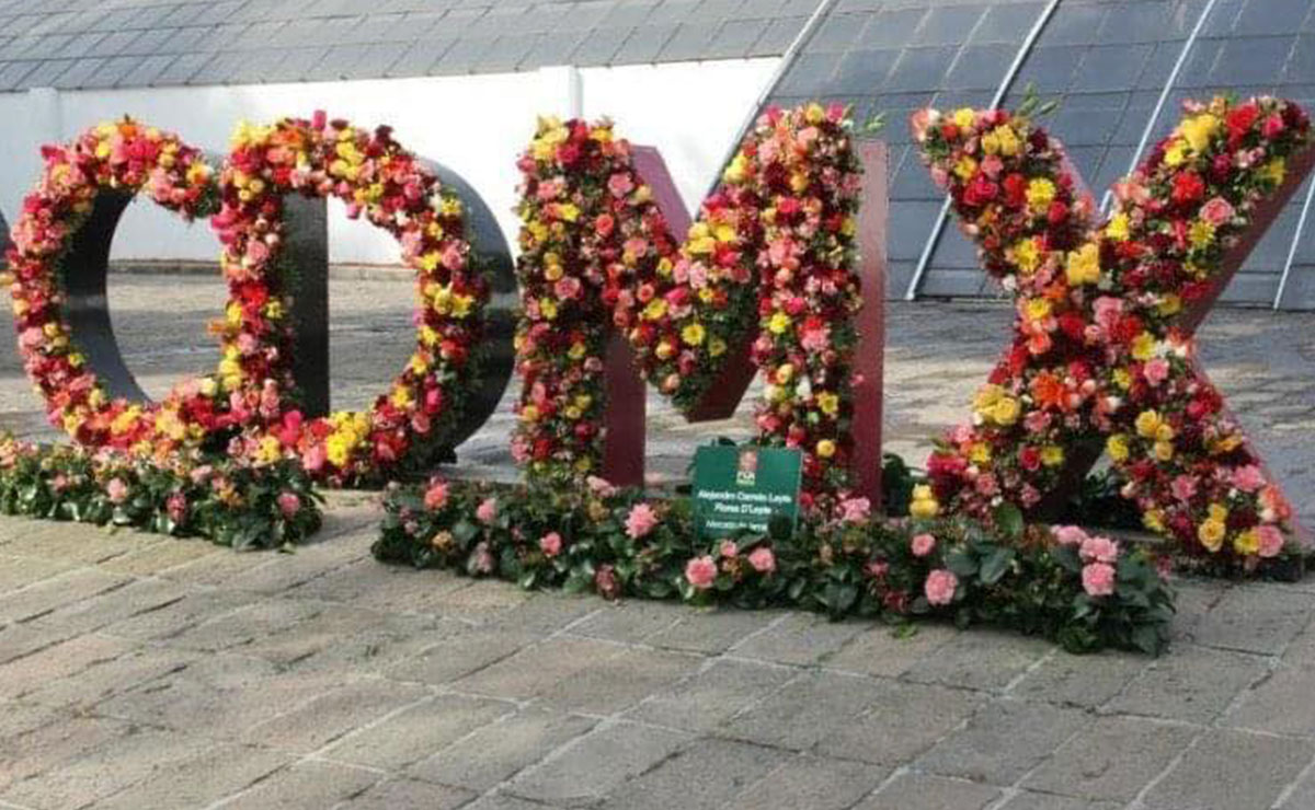 ¡Lánzate a este Festival de las Flores en CDMX y compra tu plantita!