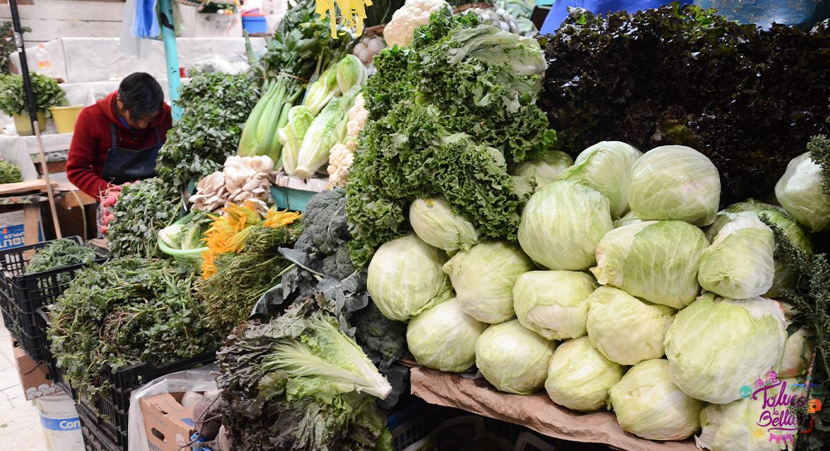 ¡La Expo Agropecuaria llega a Zinacantepec! Acá los detalles