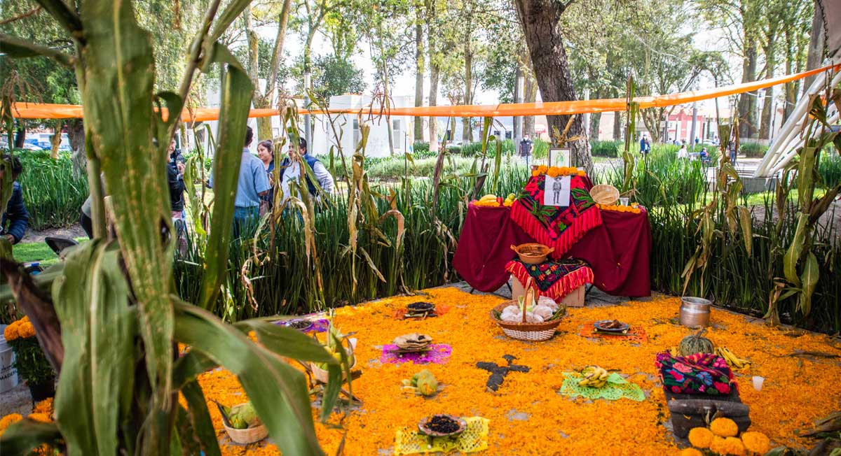 Concurso de Ofrendas en Toluca