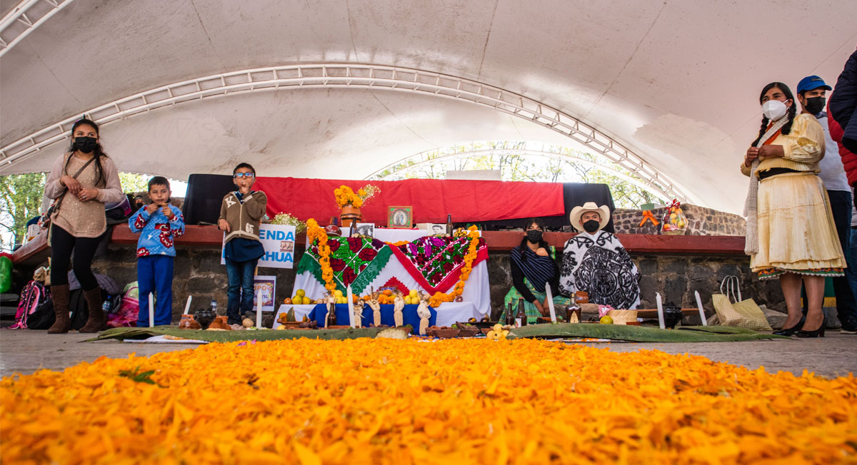 Concurso de Ofrendas en Toluca