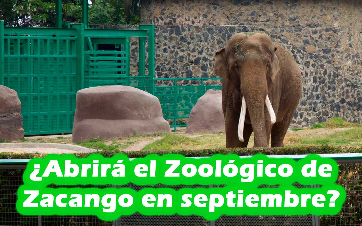 ¿El Zoológico de Zacango estará abierto en septiembre 2023?