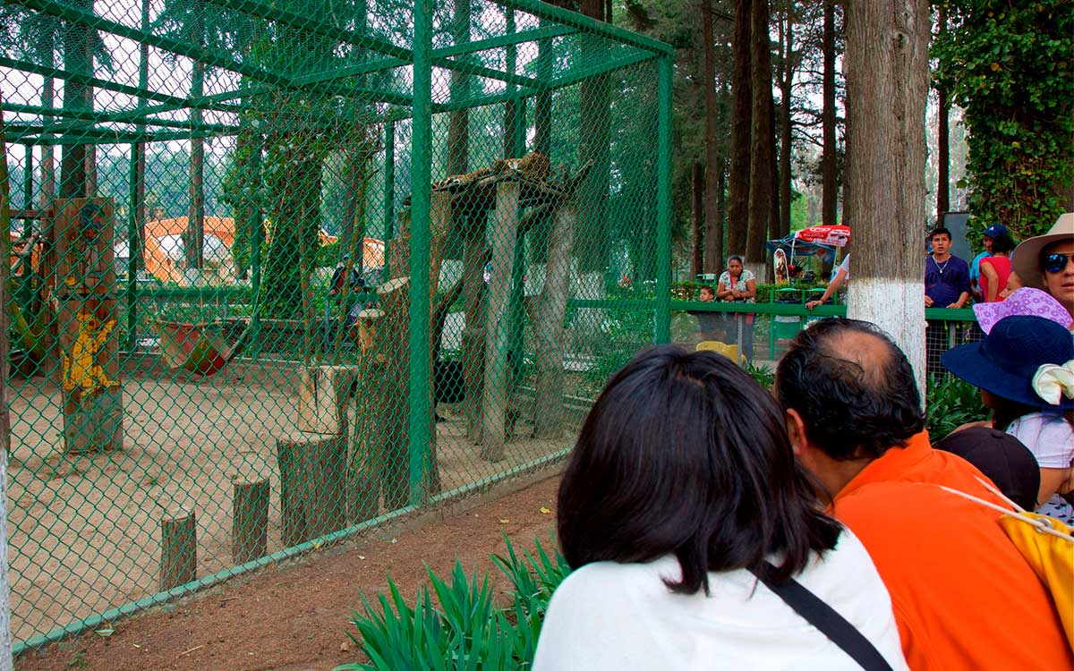 ¿Cuándo abre el Zoológico de Zacango para el público en general?e