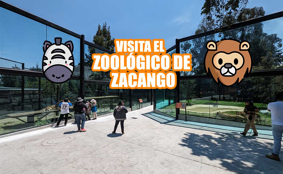 ¿Eres de Calimaya? Entras GRATIS al Zoológico de Zacango, checa cómo