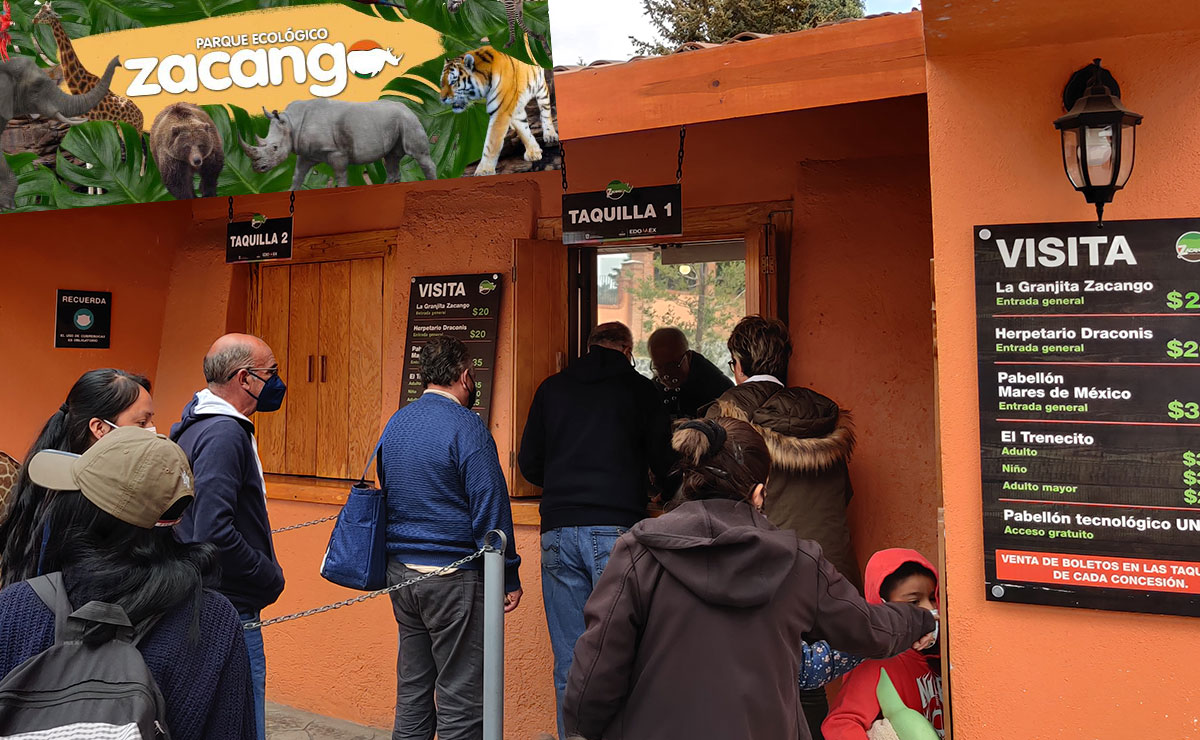 ¡Es oficial! Horarios y costos para visitar el Zoológico de Zacango este 2023