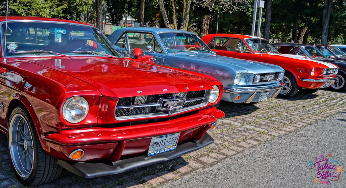 ¡Atención amantes de los autos! Habrá exhibición de Mustangs en Lerma