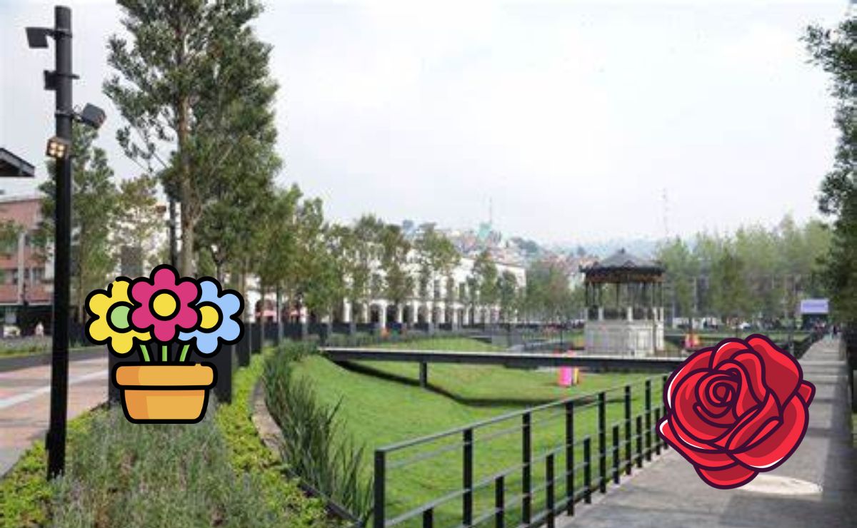 Plaza Gonzales Arretia con árboles, plantas y rosa, un jardin Polinizaciòn en Toluca.