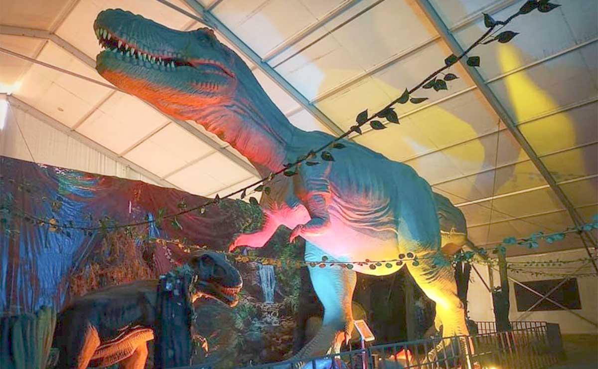 ¿Tienes una escuela? Lleva a tus niños GRATIS a ver los DINOSAURIOS GIGANTES en Metepec