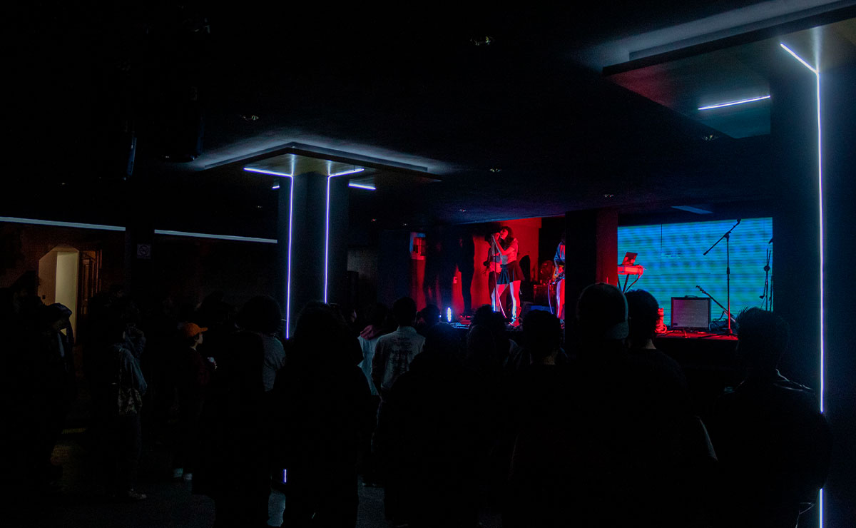 Personas en concierto de rock en Toluca.