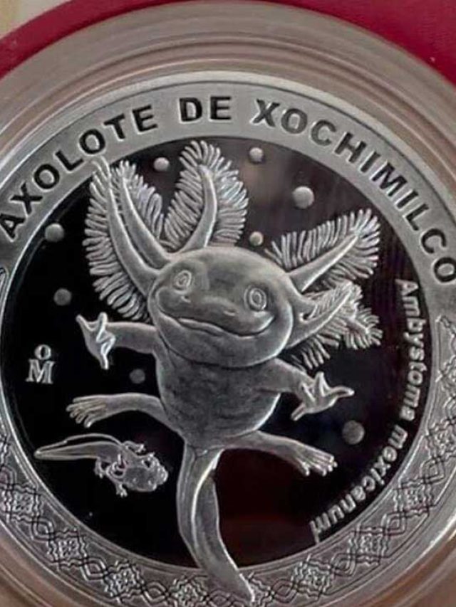 ¡Vuelven las monedas conmemorativas del Zoológico de Chapultepec! Hay de Ajolote