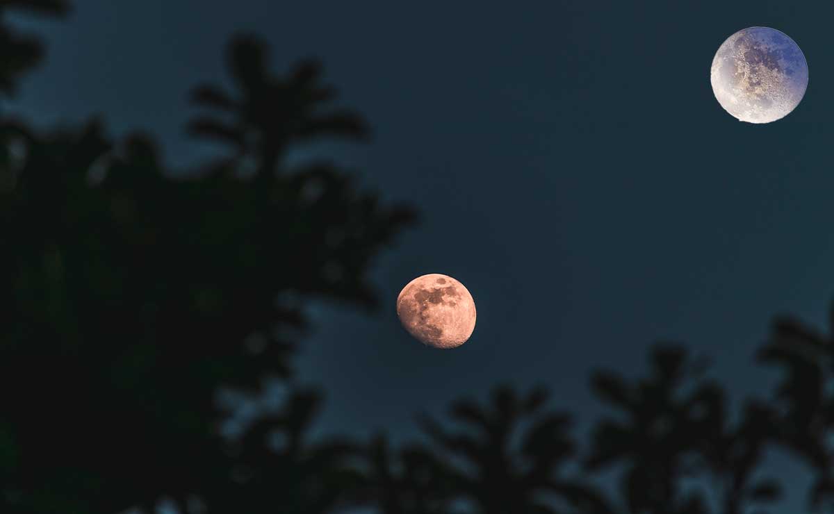 Luna llena 2023 en México, árbol.