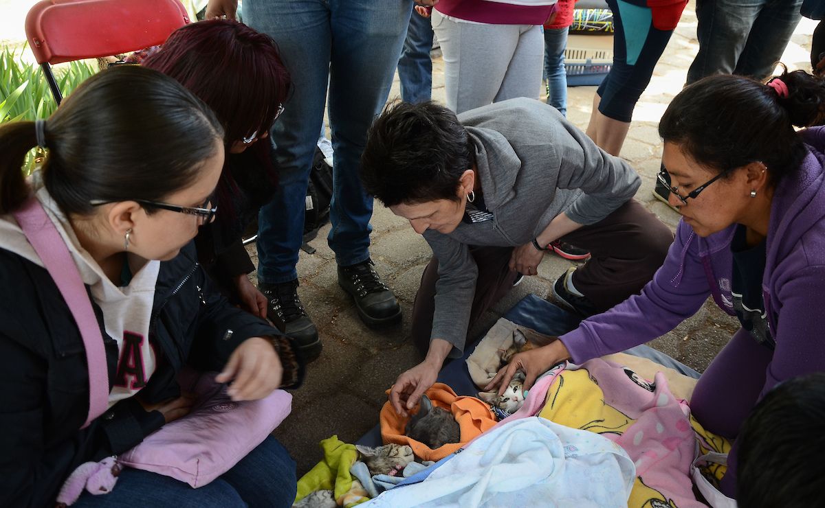 Personas checando a sus mascotas en la megaesterilización en San Pablo Autopan.