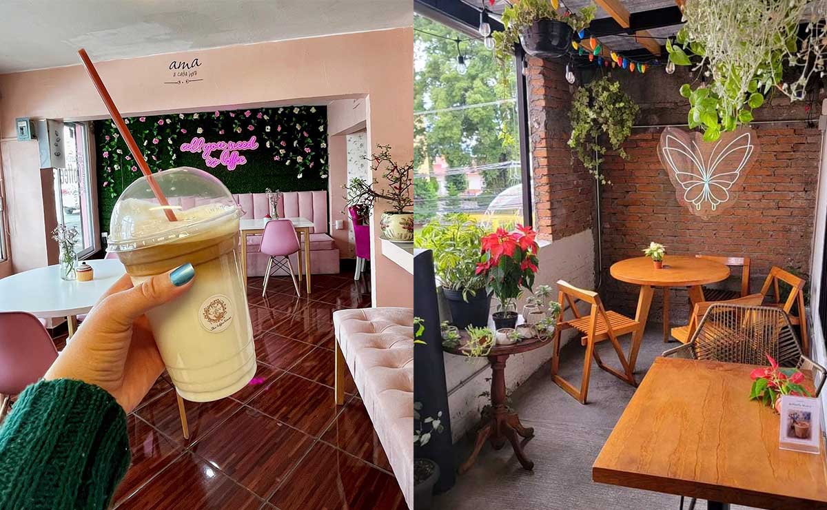  ¡5 cafeterías al estilo "coquette"! Lugares para visitar con tus amigas en Toluca