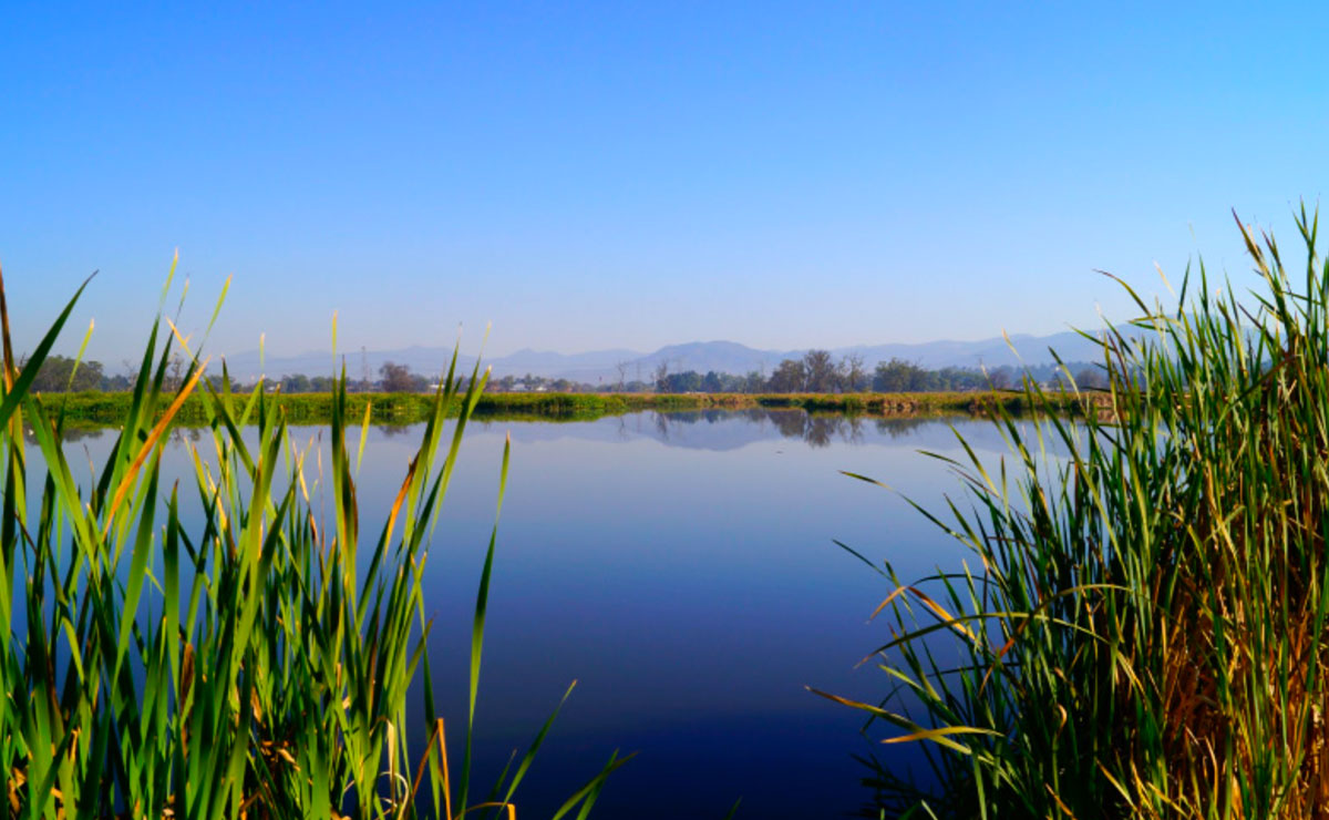 Laguna de San Nicolás Peralta en Lerma de Villa en el EdoMéx.