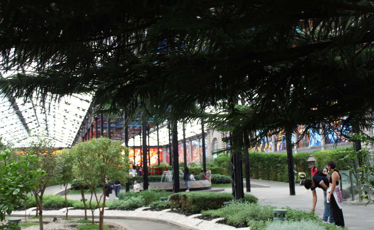 Jardí­n Botánico de Toluca, árboles, personas, plantas.