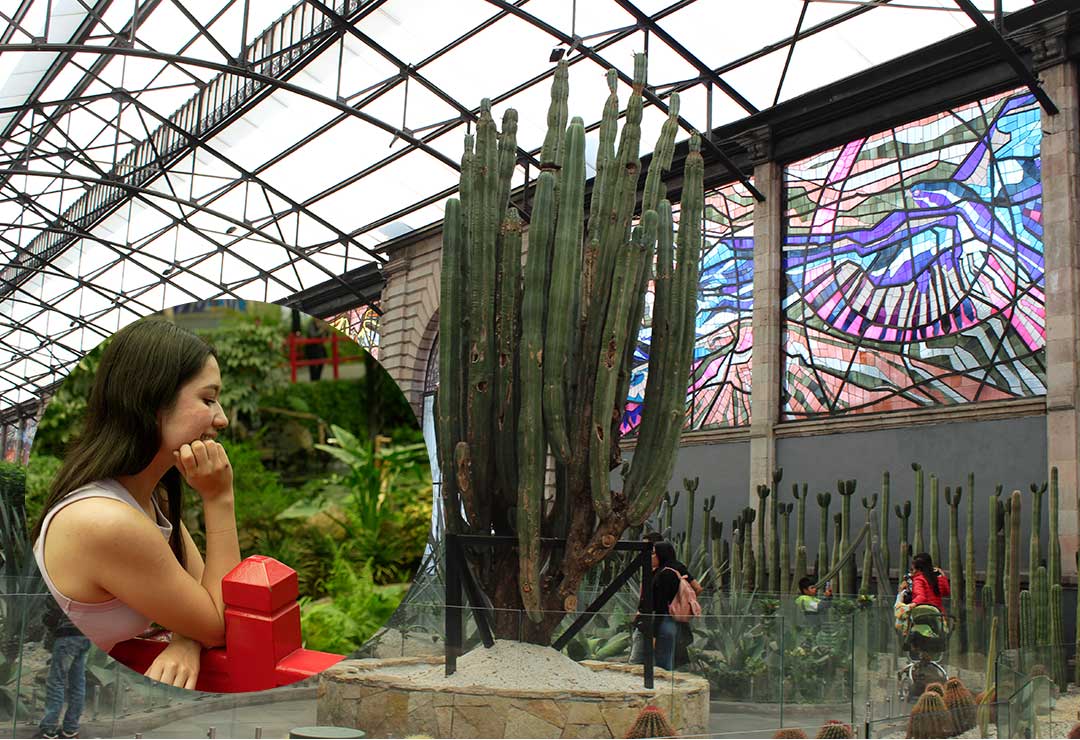 El Cosmovitral de Toluca, vitrales en Toluca, lugares para visitar en Toluca