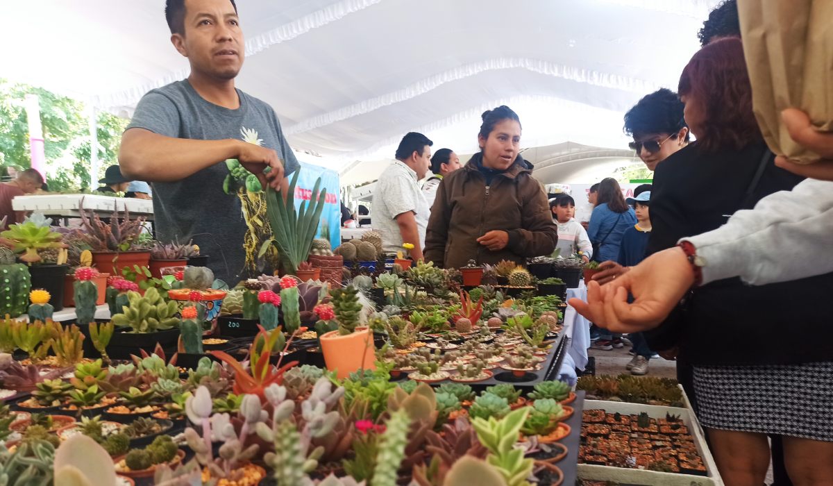 Festival plantero en Toluca: Conoce los detallese